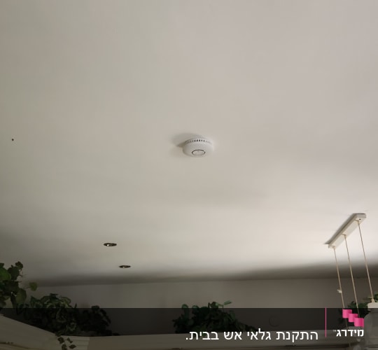 גלאי עשן מותקן על תקרת מטבח